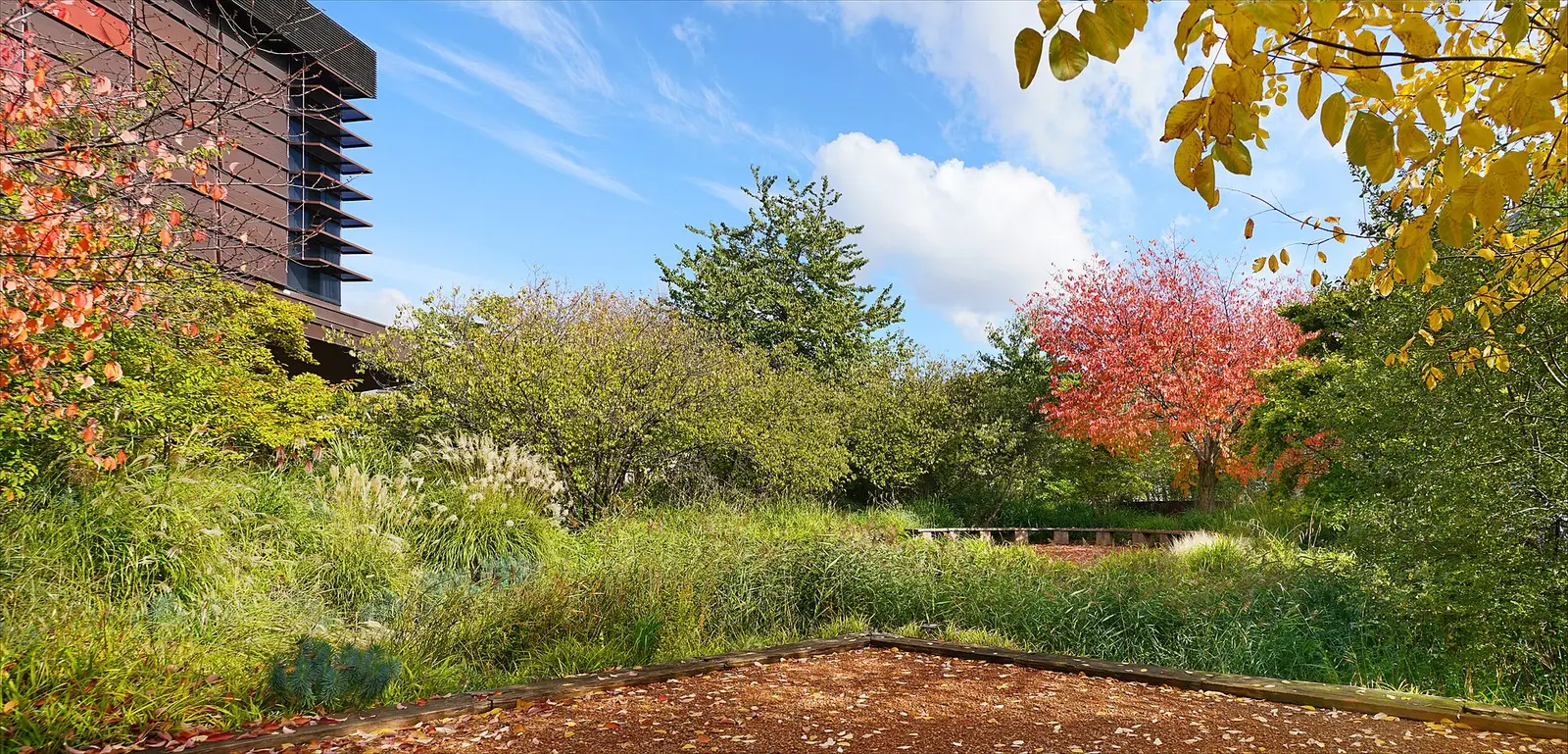 Planted garden of the quai Branly museum in autumn with the museum building rising behind